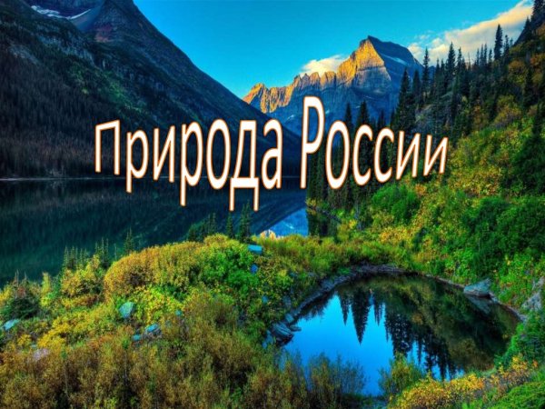 Природа России проект