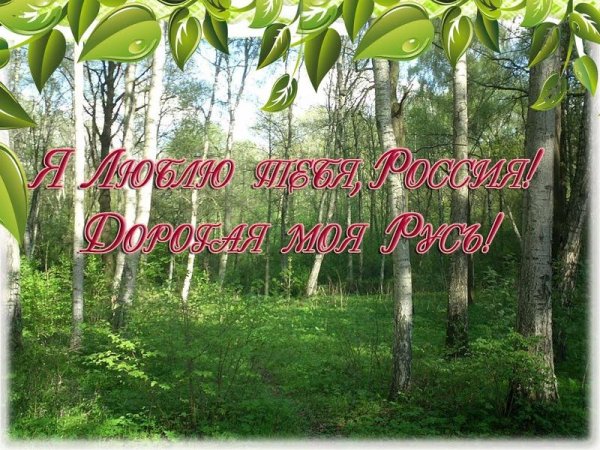 Люблю тебя моя Россия