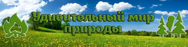 Надпись природа