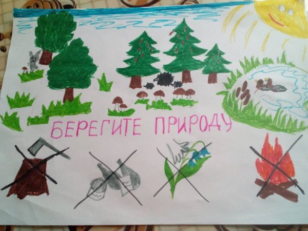 Сбережем природу вместе