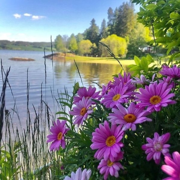 Доброе утро красивая природа