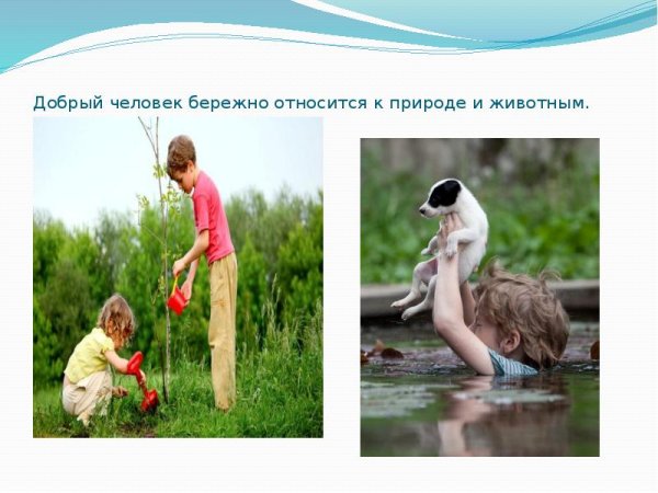 Бережно отношение к природе