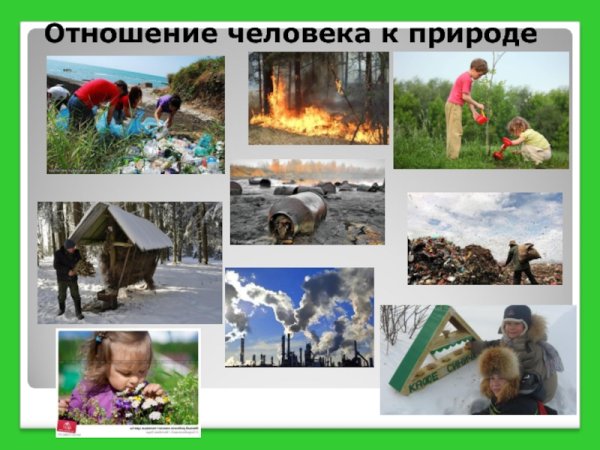 Тередное отношение к природе