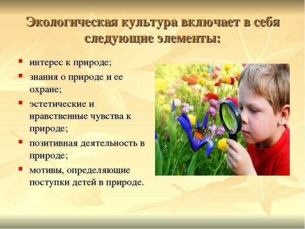 Сохранение природы