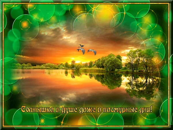 Открытки добрый день природа