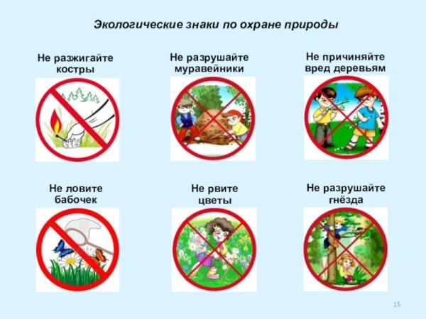 Знаки правила поведения в лесу