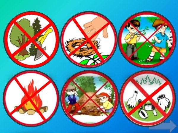 Знаки природы
