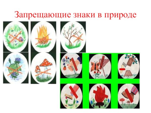 Знаки защиты природы для детей
