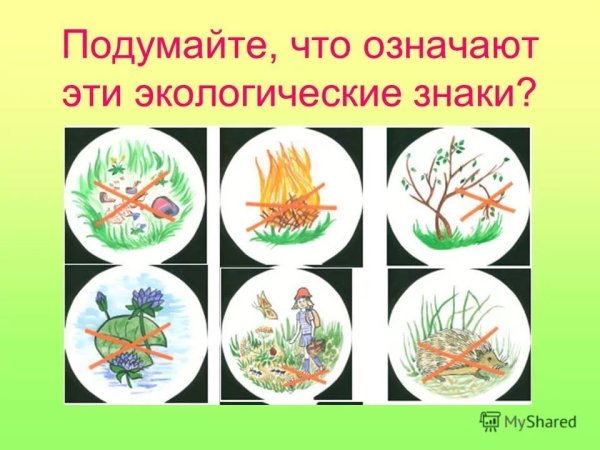 Правила поведения на природе