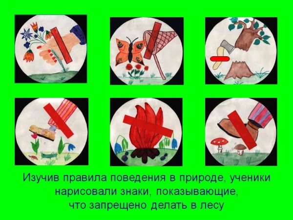 Рисование экологических знаков