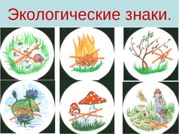 Плакат будь природе другом
