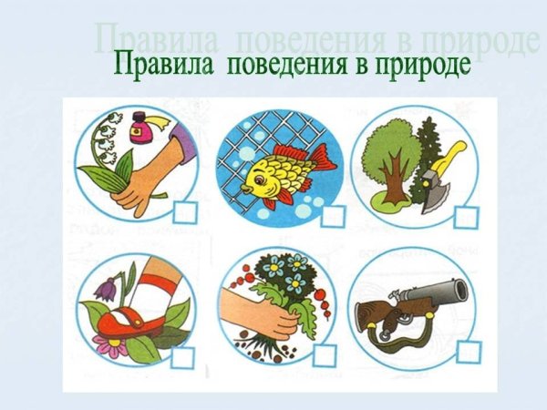 Экологические знаки