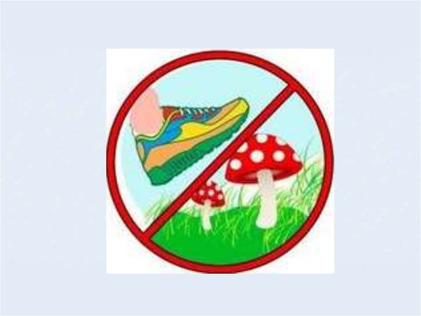 Знаки поведения в природе