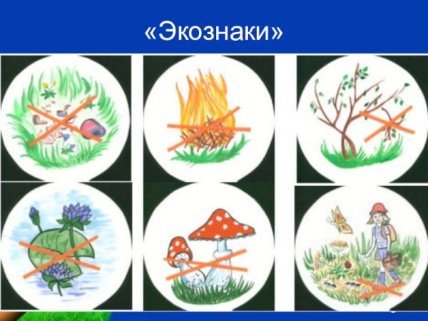 Экологические знаки