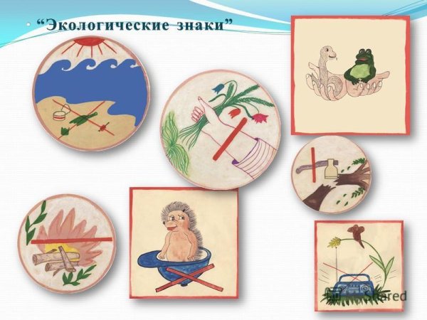 Правила поведения в окружающей среде знаки