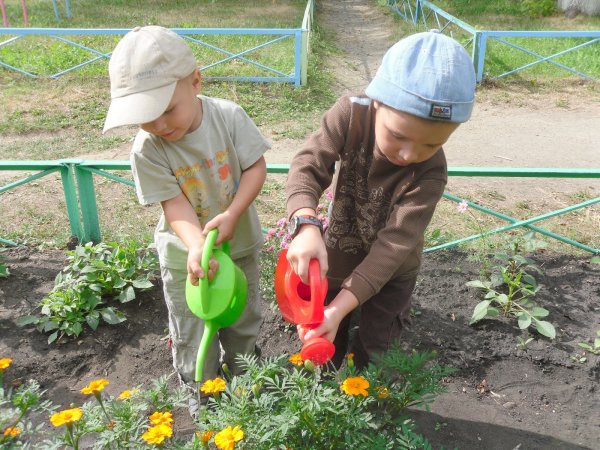 Труд в природе в детском саду