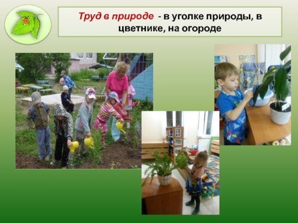 Труд в уголке природы