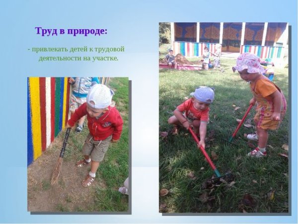 Труд на участке в детском саду