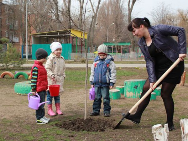 Огород для детей в детском саду