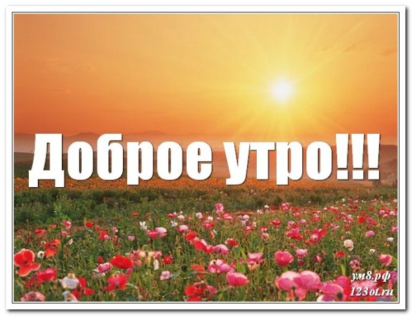 Креативные открытки с добрым утром