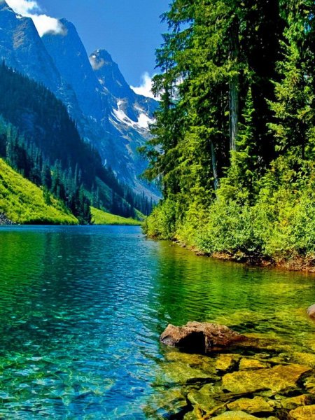 Фотообои для телефона для парней живые