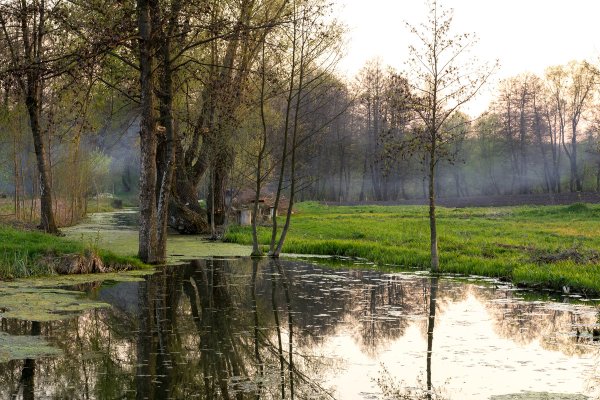 Поздняя Весна природа