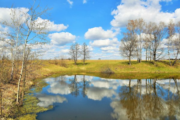 Русская природа весной