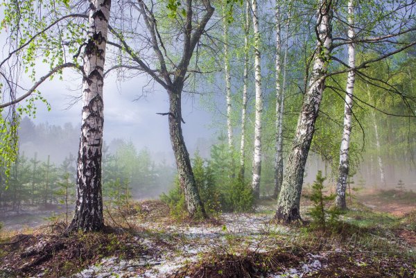 Весна апрель