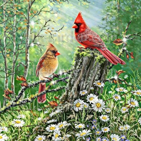 Художник James Hautman