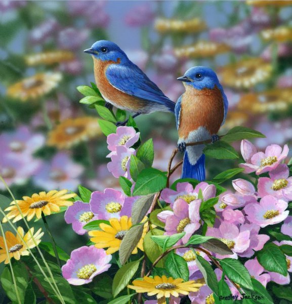 Природа птицы