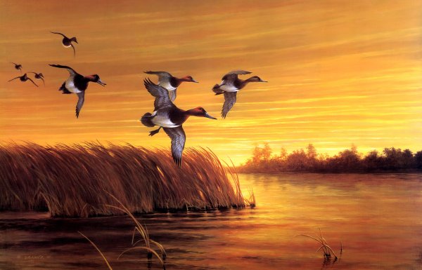 Ранняя Весна птицы