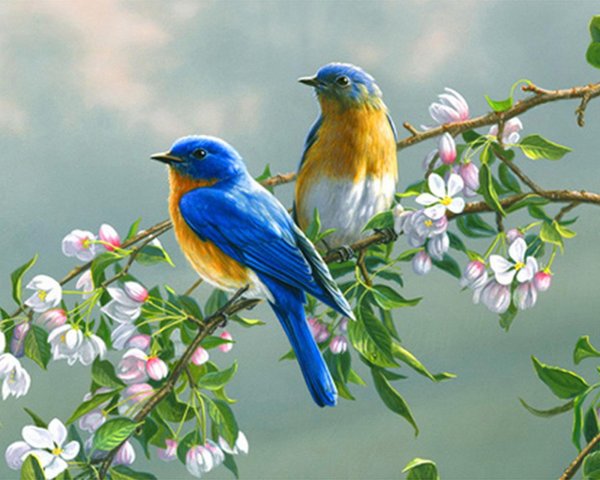 Птичка взлетает