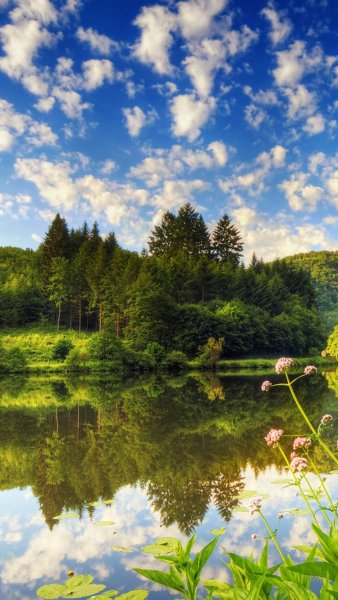 Летние пейзажи природы