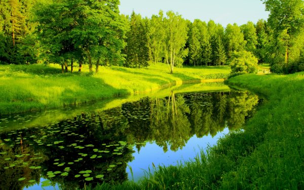 Природа лес река