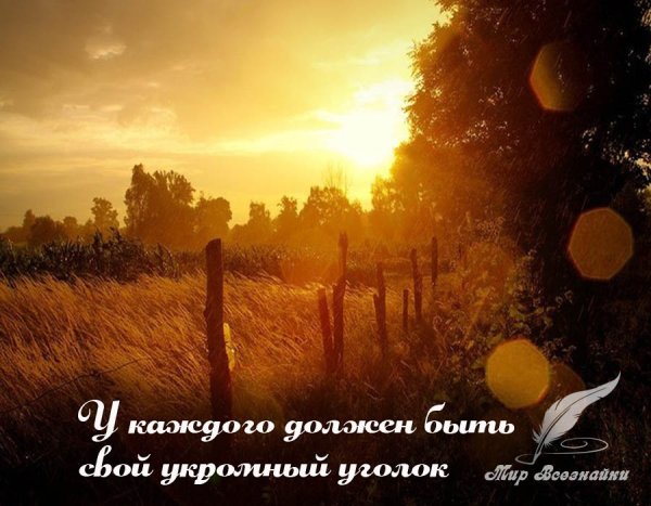 Красивые фразы про природу