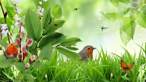 Живая природа