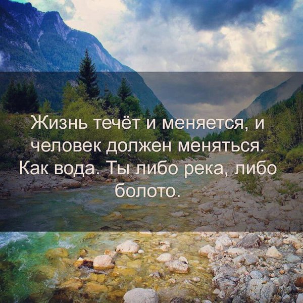 Цитаты про деревья