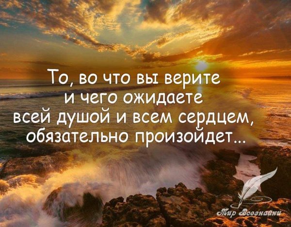 Цитаты про лес