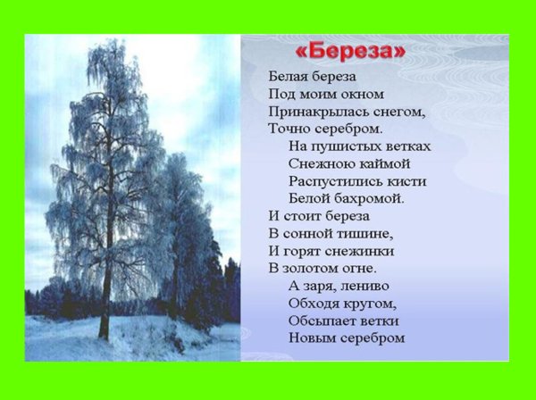Стихотворение Александра Сергеевича Пушкина о природе