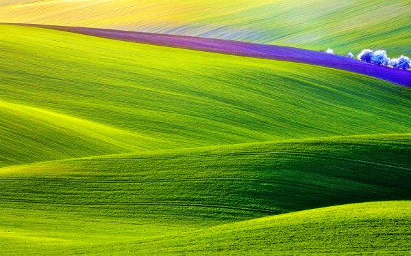 Зеленая природа