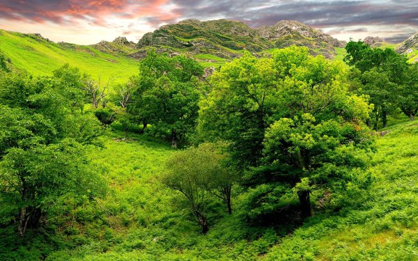 Green Hills зеленые холмы