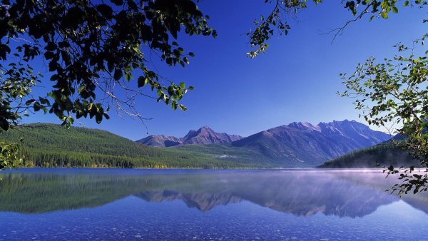 Поле Горизонт