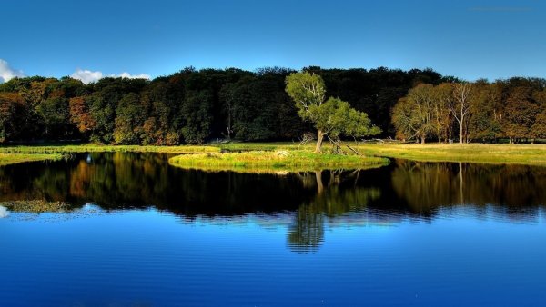 Обои на рабочий стол природа