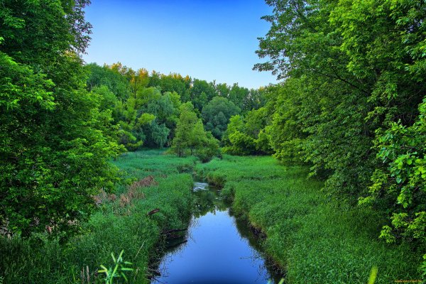 Река Волгуша