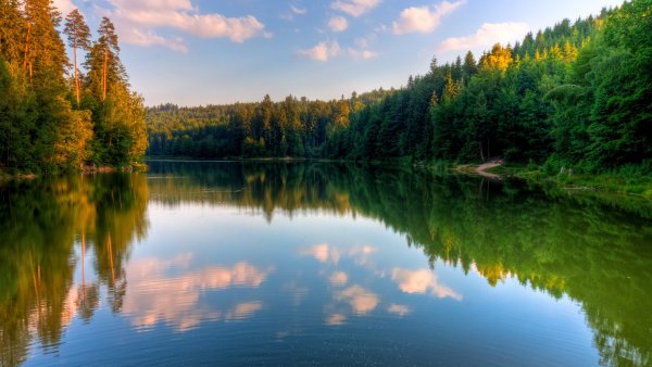 Природа река озеро лес горы