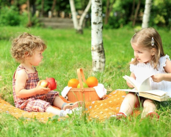 Пикник на природе