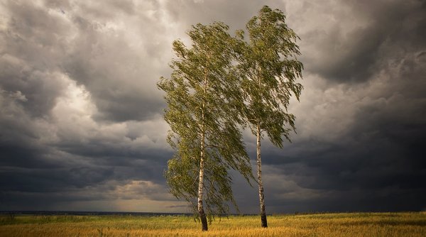 Дуновение ветра