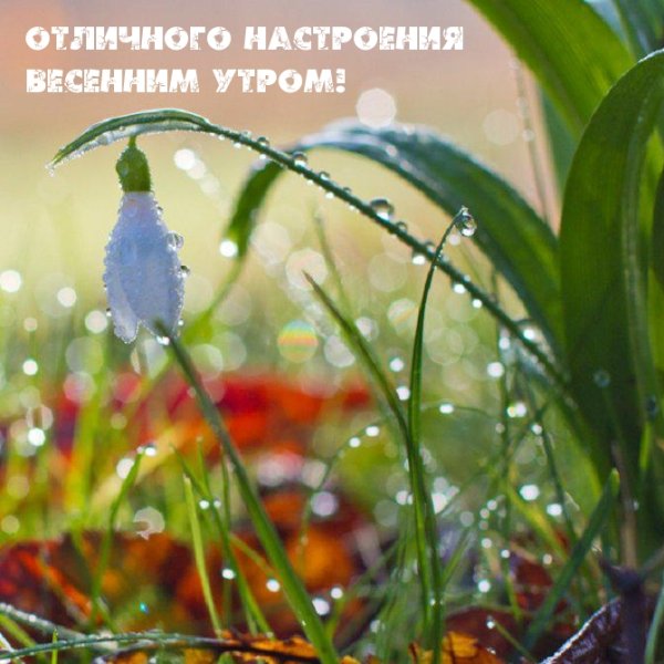 Весна природа