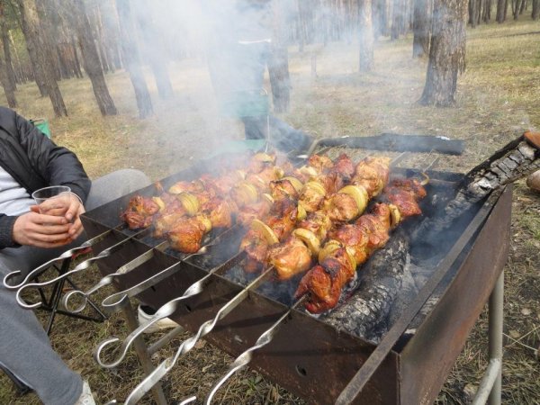 Пикник шашлык на природе
