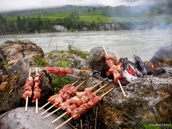 Шашлыки на даче летом